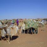 A camp for internally displaced people in Darfur, Sudan